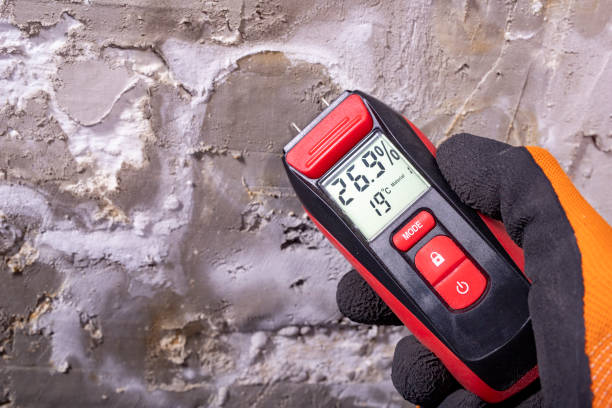 Mold Testing and Removal in Royalton, IL